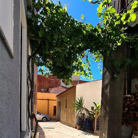 3 Mini Studios In Siniscola Exteriör bild